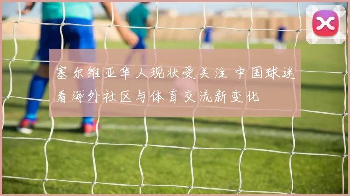 塞尔维亚华人现状受关注 中国球迷看海外社区与体育交流新变化