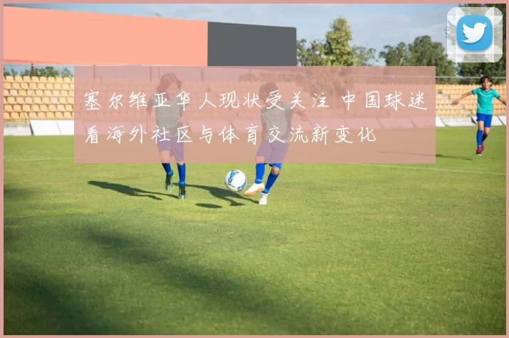 塞尔维亚华人现状受关注 中国球迷看海外社区与体育交流新变化