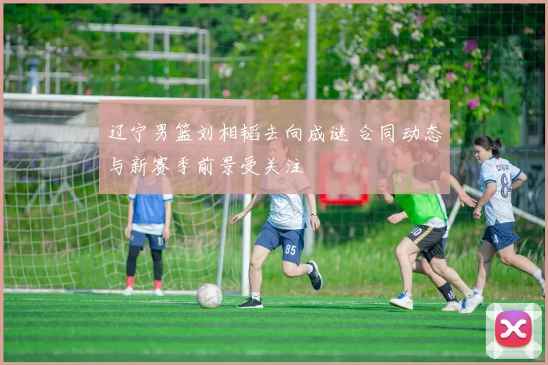 辽宁男篮刘相韬去向成谜 合同动态与新赛季前景受关注