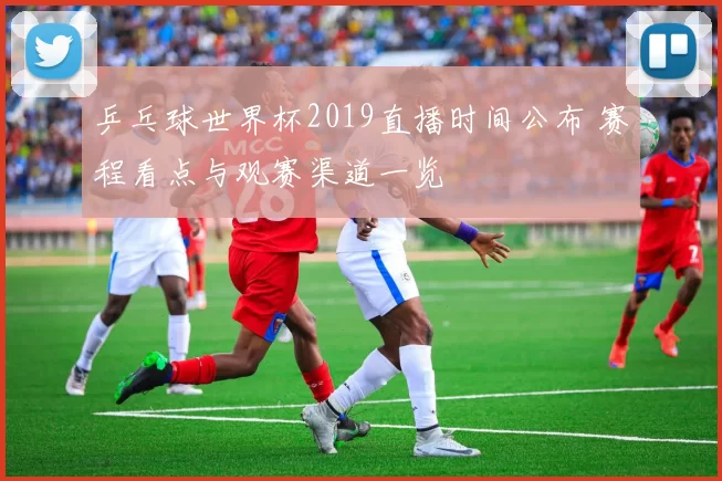 乒乓球世界杯2019直播时间公布 赛程看点与观赛渠道一览